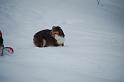 DSC_0078 (2)